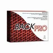 Back Pro — รูปภาพ 2