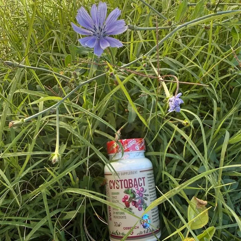 Cystobact — fotografia 1