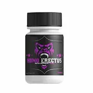 HomoErectus