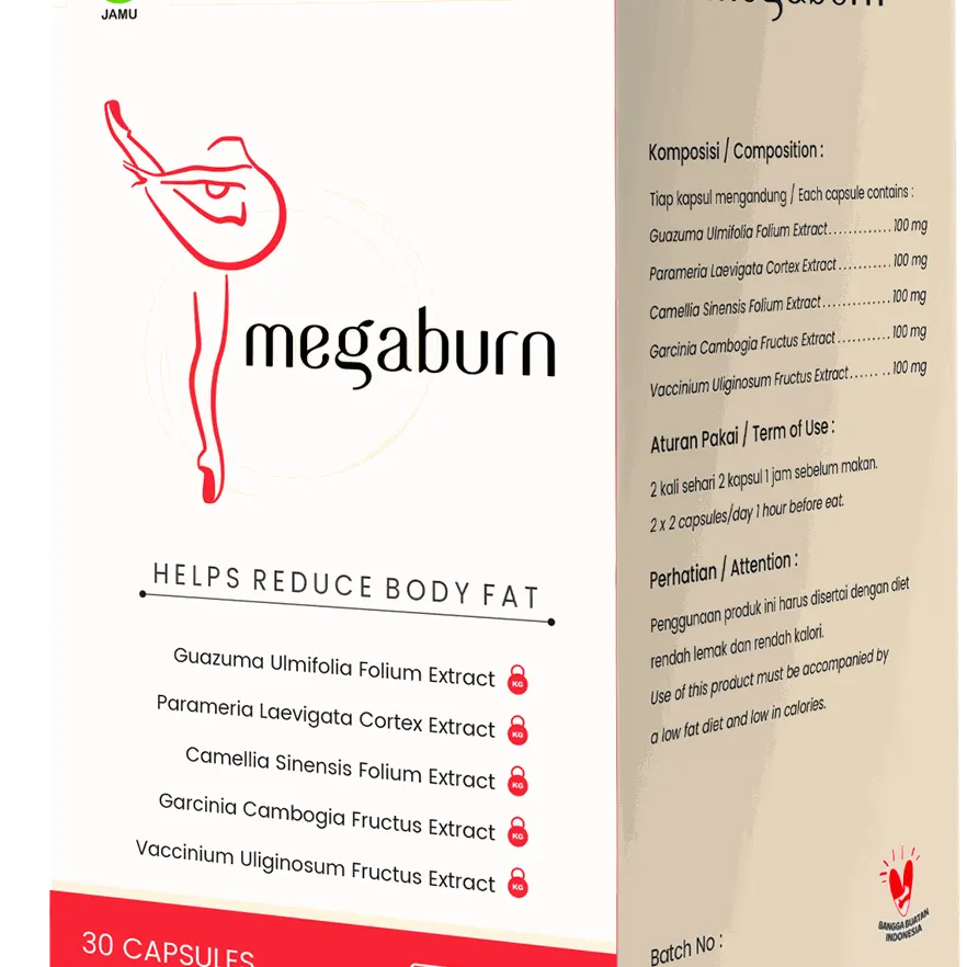 Megaburn — foto 3