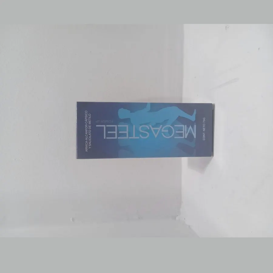 Megasteel — foto 2