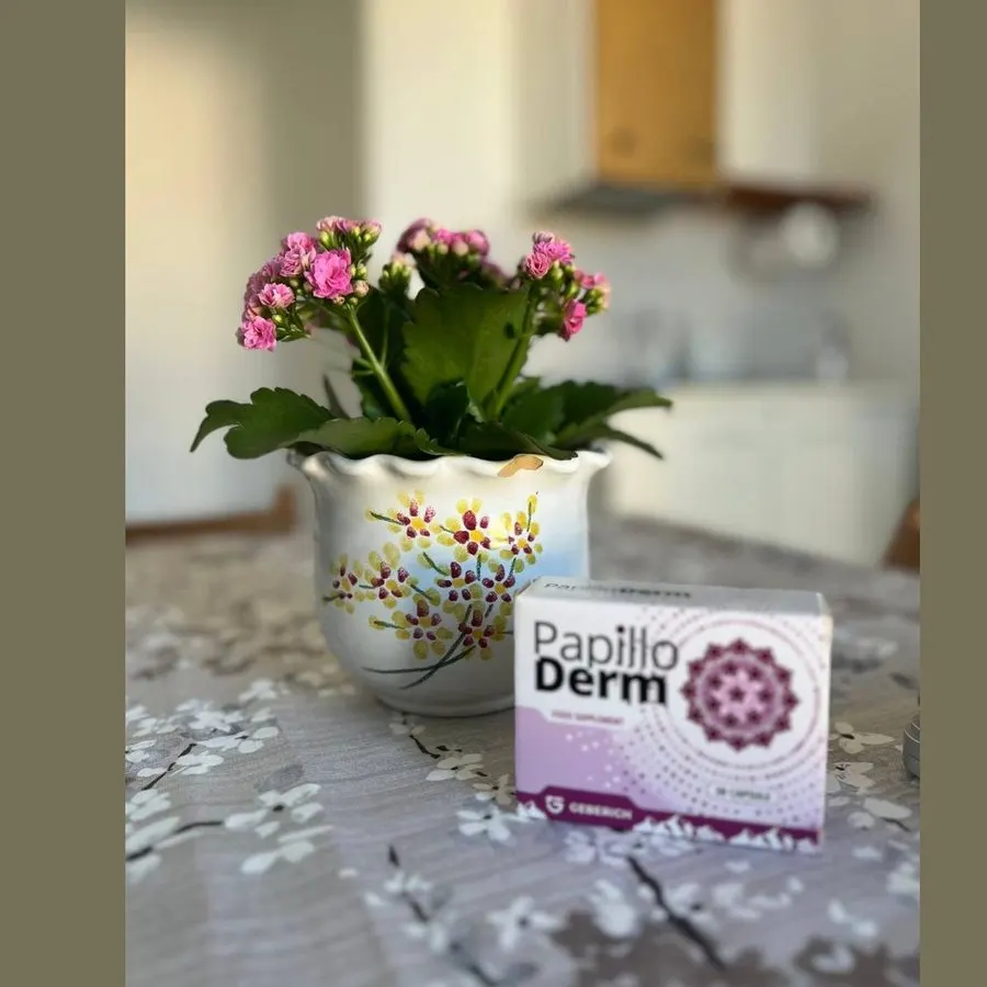 PapilloDerm — Foto 3