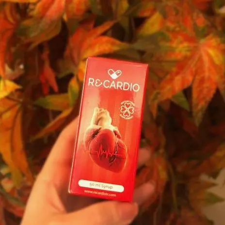 Recardio — صورة