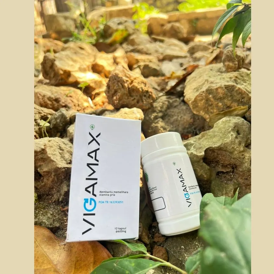 Vigamax — foto 3