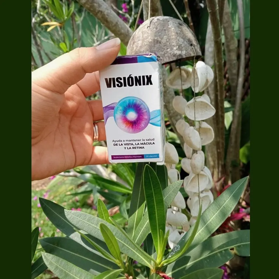 Visiónix — imagen