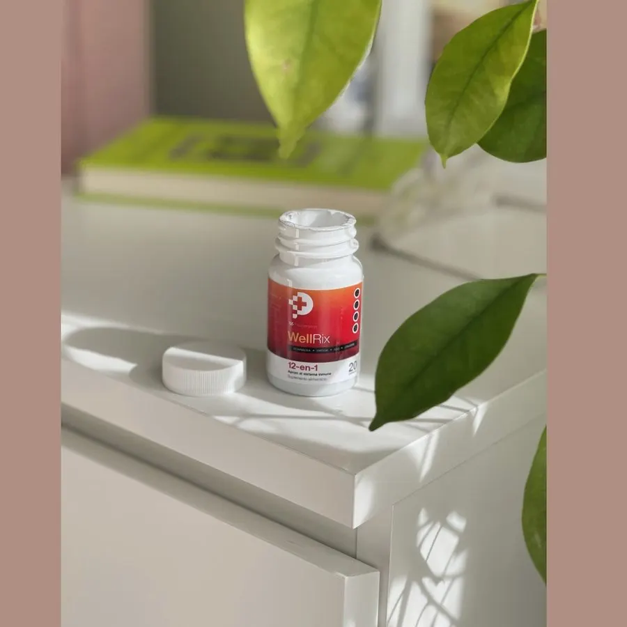 WellRix — imagen 3